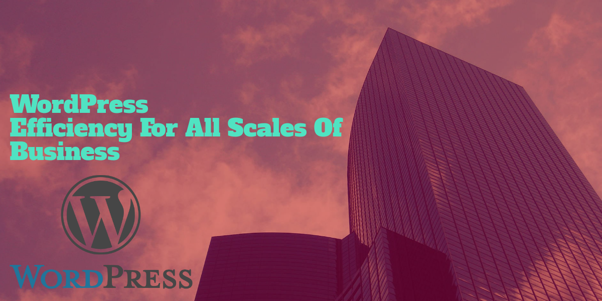WordPress Efficiency for all Scales of Business